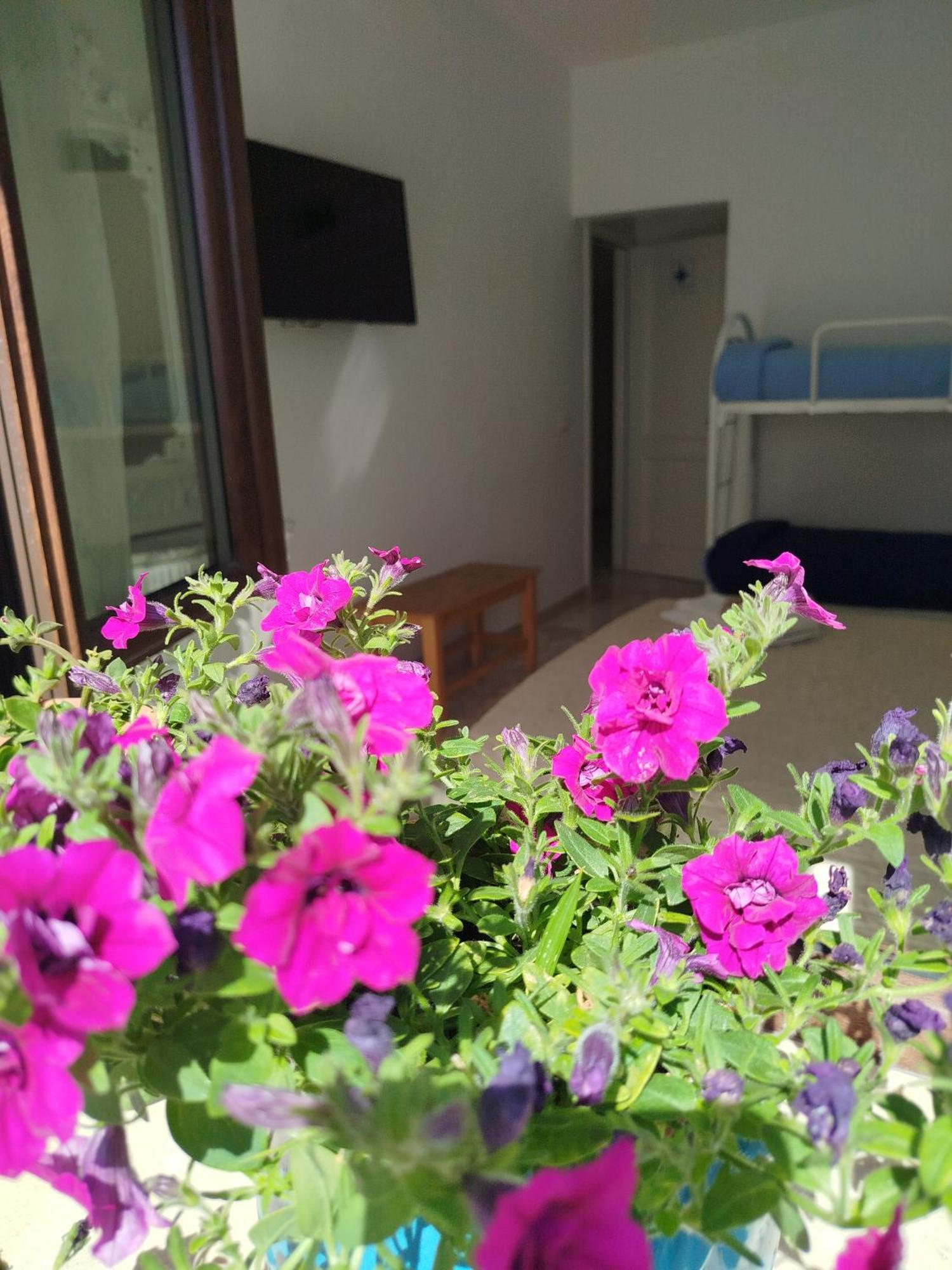 Bed and Breakfast La Stella Dei Venti Gallipoli Exterior foto